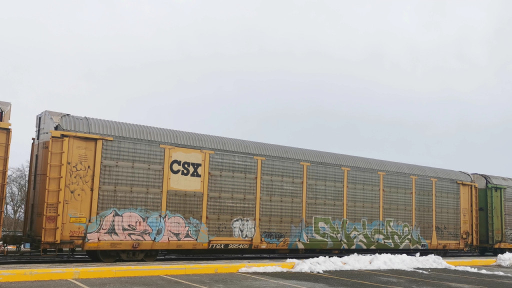 CSXT B12419 (Body) TTGX 995406 (Flat)